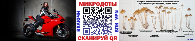 Псилоцибиновые грибы Cubensis  Мичуринск 